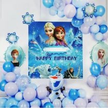 set-arcada-baloane-Frozen-cu-poster