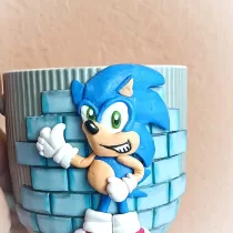 cana cu sonic