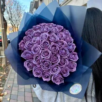 WhatsApp Image 2024-11-19 at 14.34.17