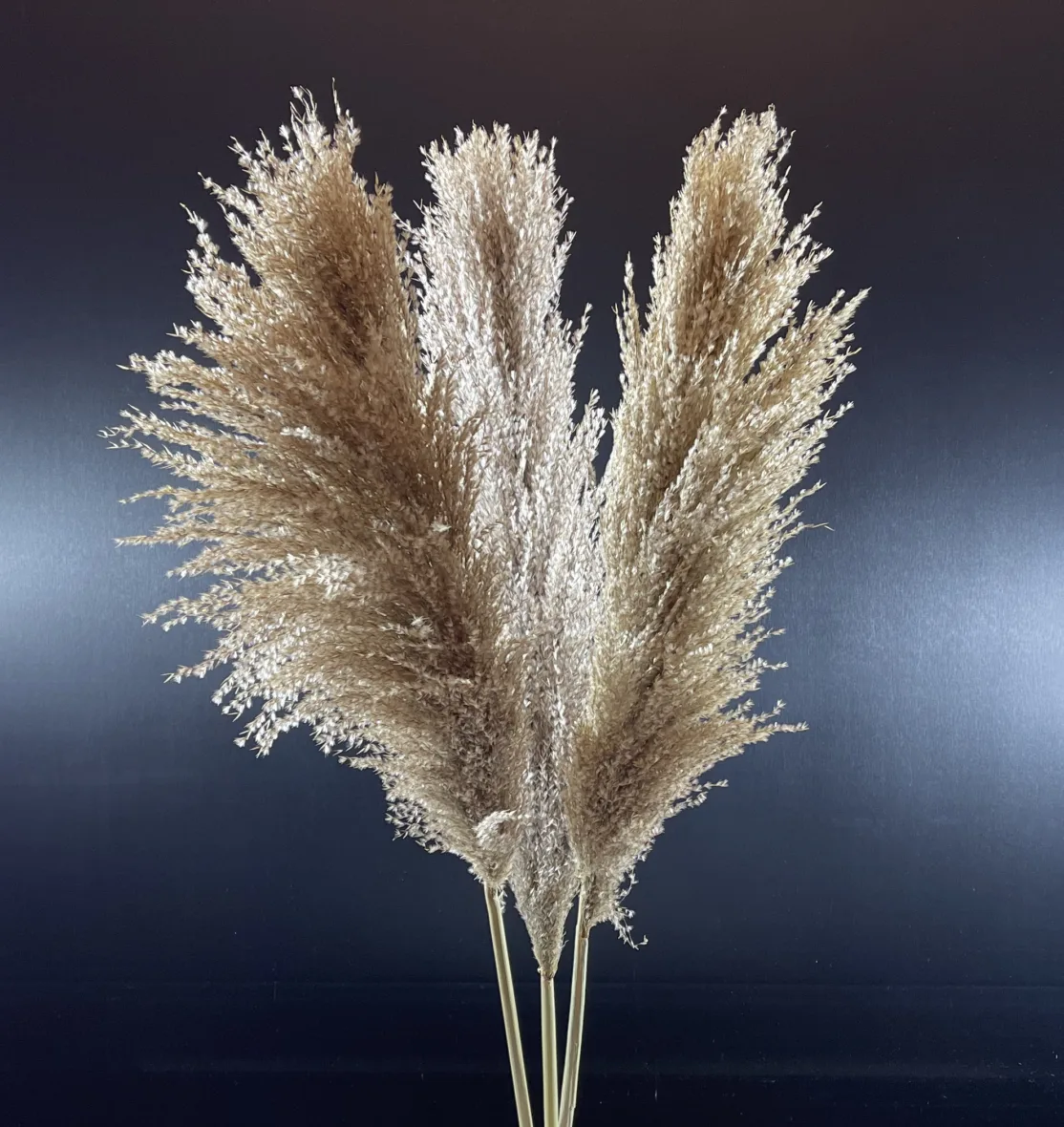 buchet-medium-3-pampas-grass-pletos-gri-03