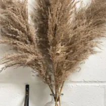 buchet-medium-3-pampas-grass-pletos-gri-07