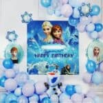 Set aranjament Frozen, Anna si Elsa cu poster